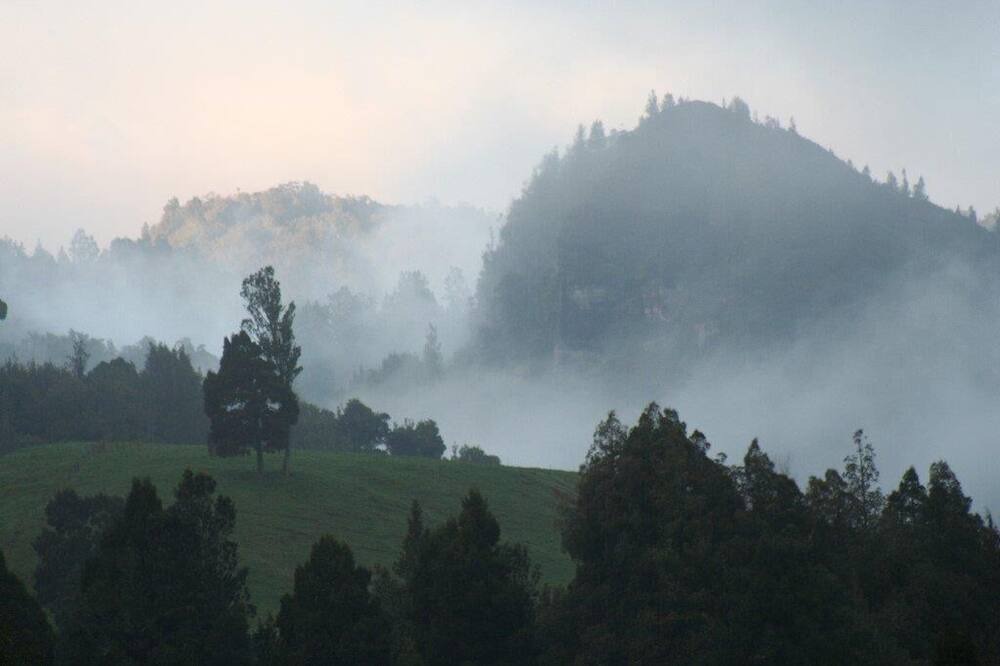 Photo of Others in Waihi