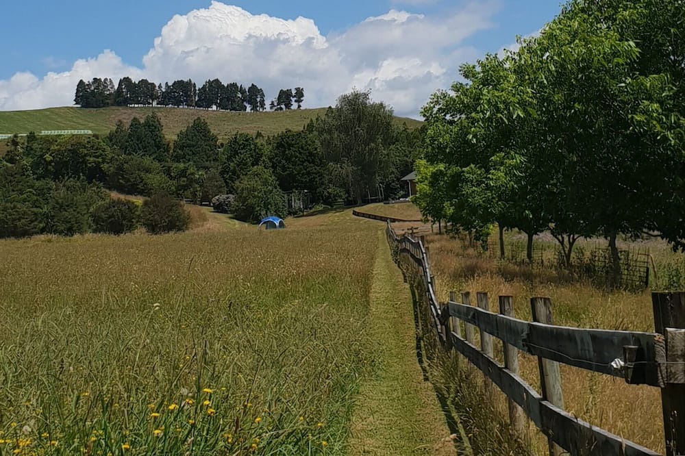 Photo of Others in Waihi