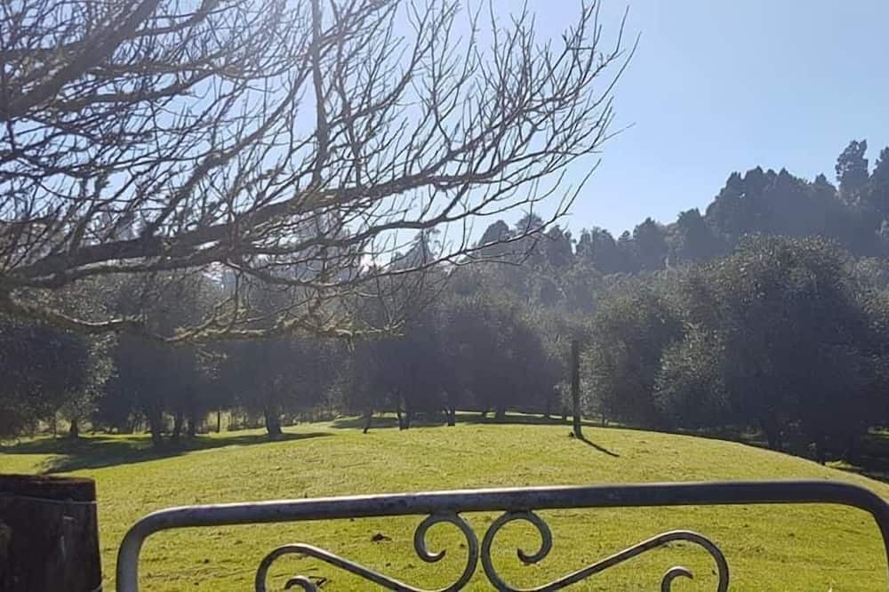 Photo of Others in Waihi