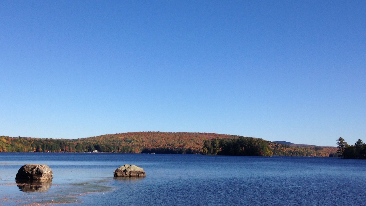 Photo of Others in Orrington