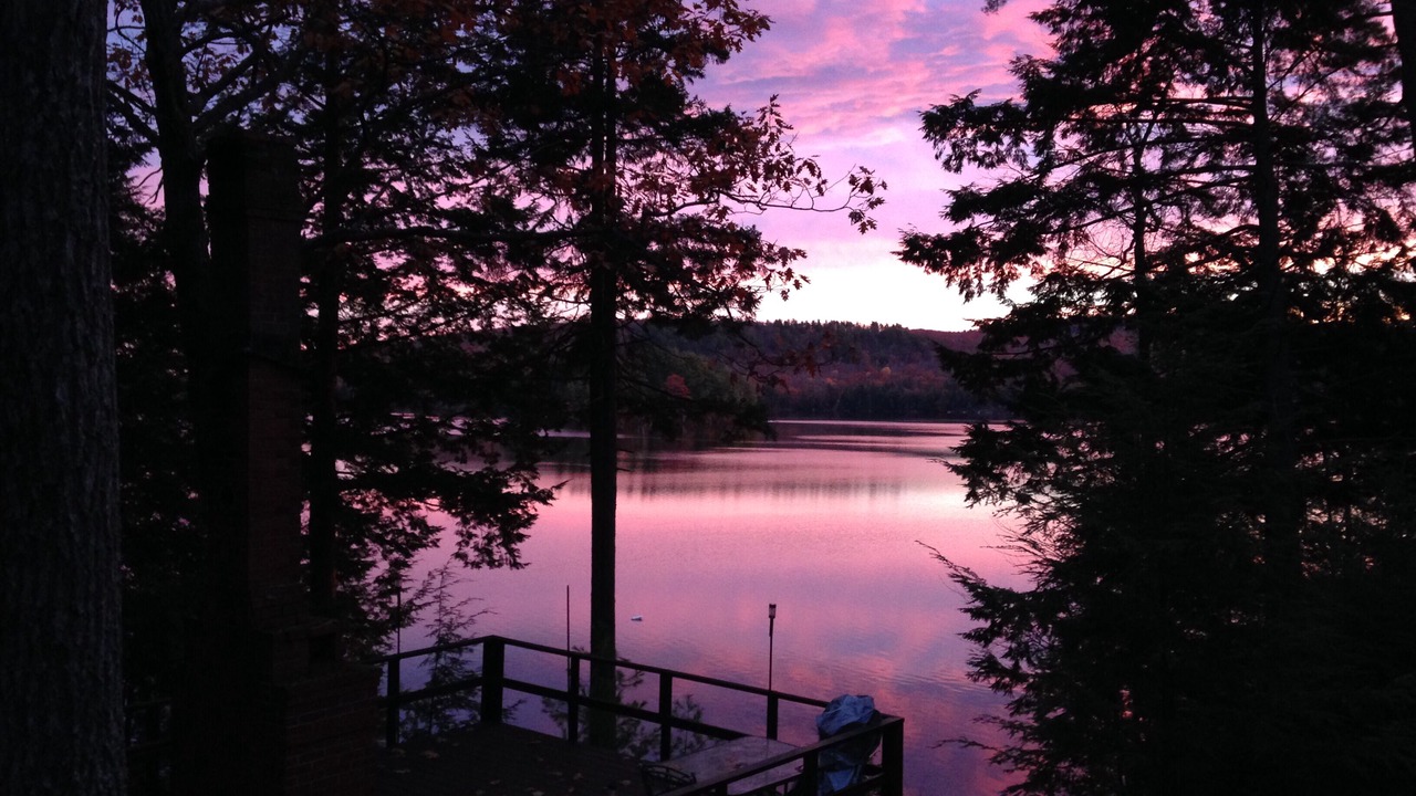 Photo of Others in Orrington