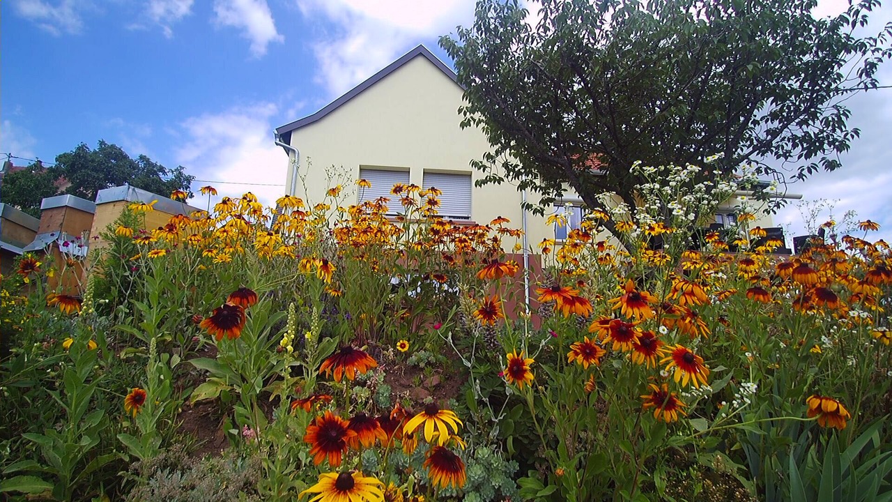 Photo of Outdoor in Lichtenberg