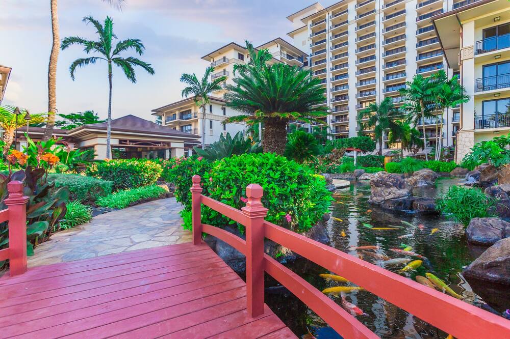 Photo of Outdoor in Ko Olina