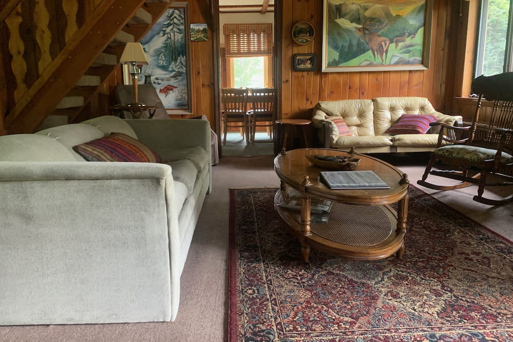 Photo of Livingroom in Oliverea
