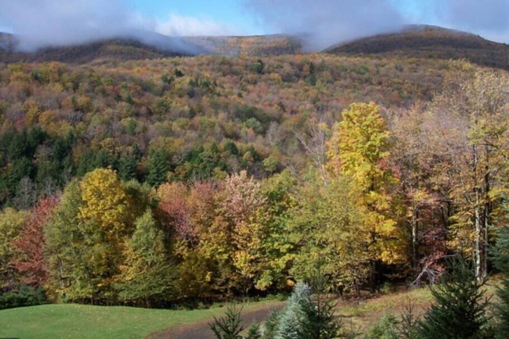 Photo of Outdoor in Oliverea