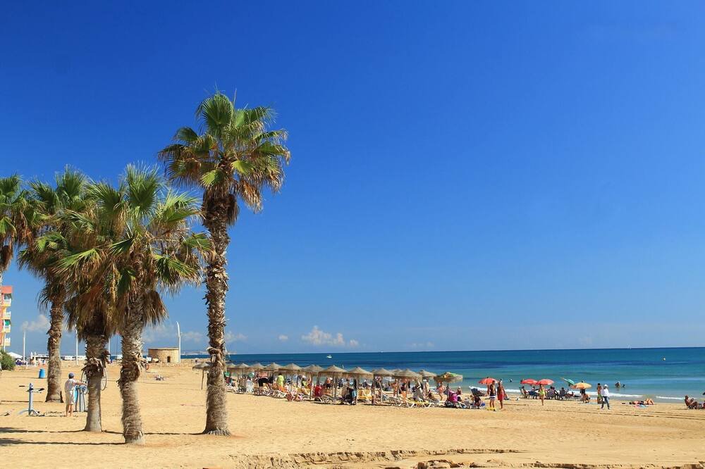 Photo of Others in La Siesta