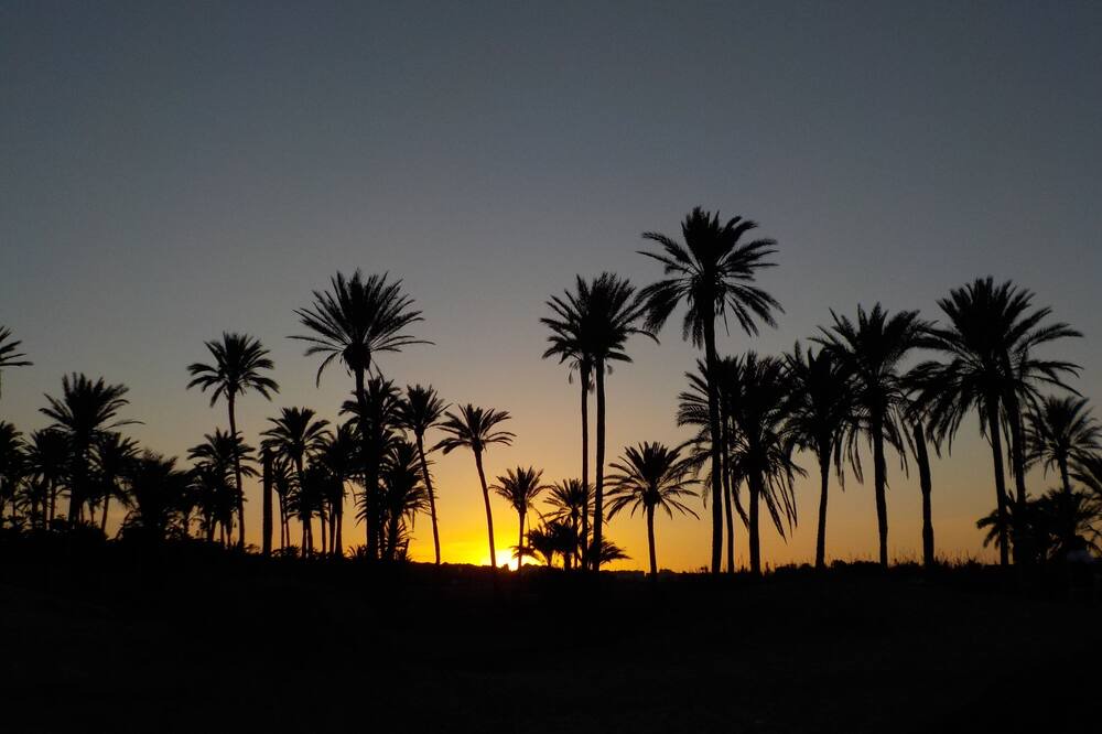 Photo of Others in La Siesta