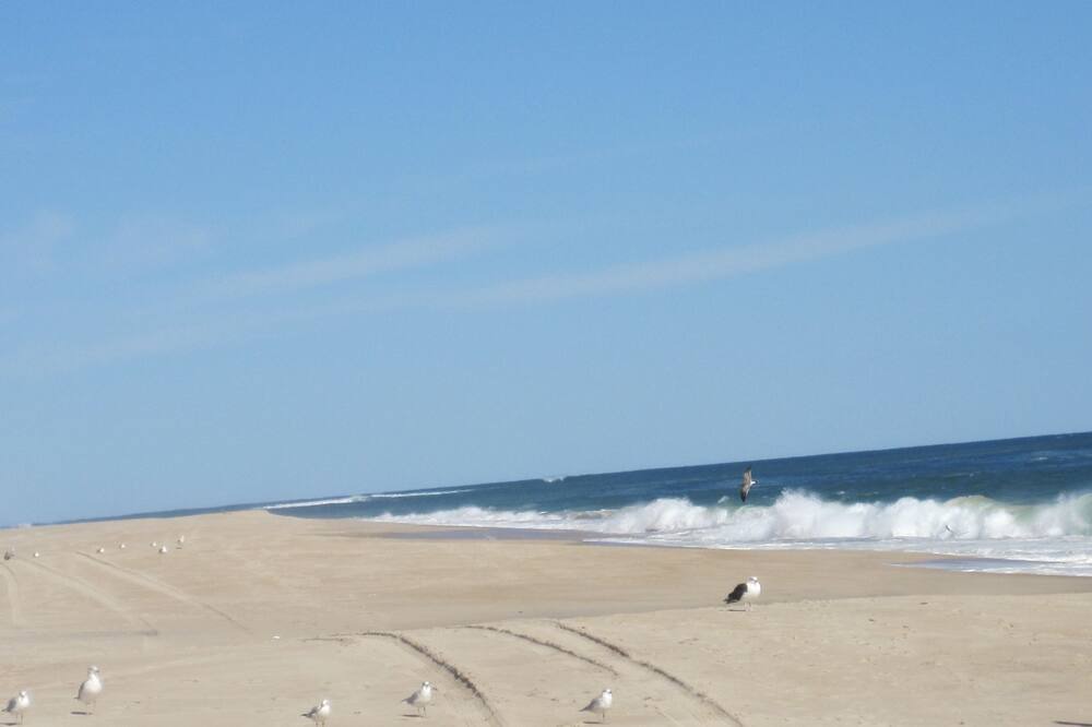 Photo of Others in Sag Harbor