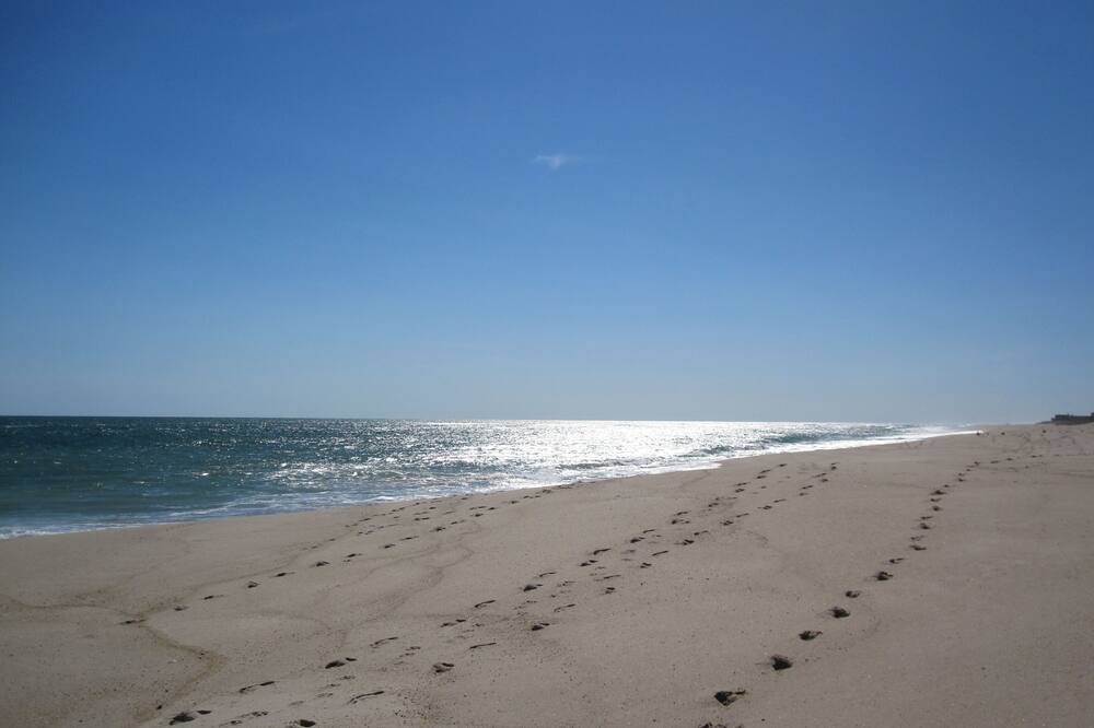 Photo of Others in Sag Harbor