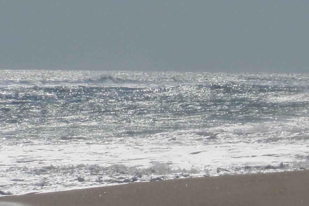 Photo of Others in Sag Harbor