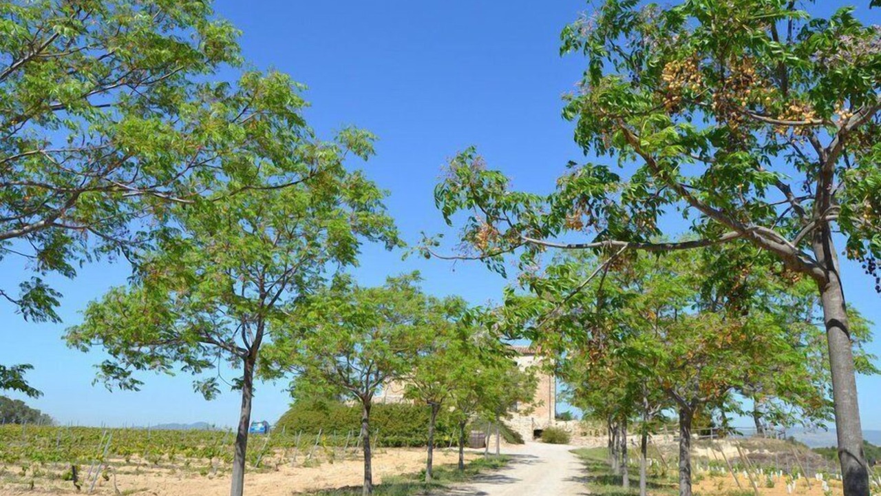 Photo of Outdoor in Nulles