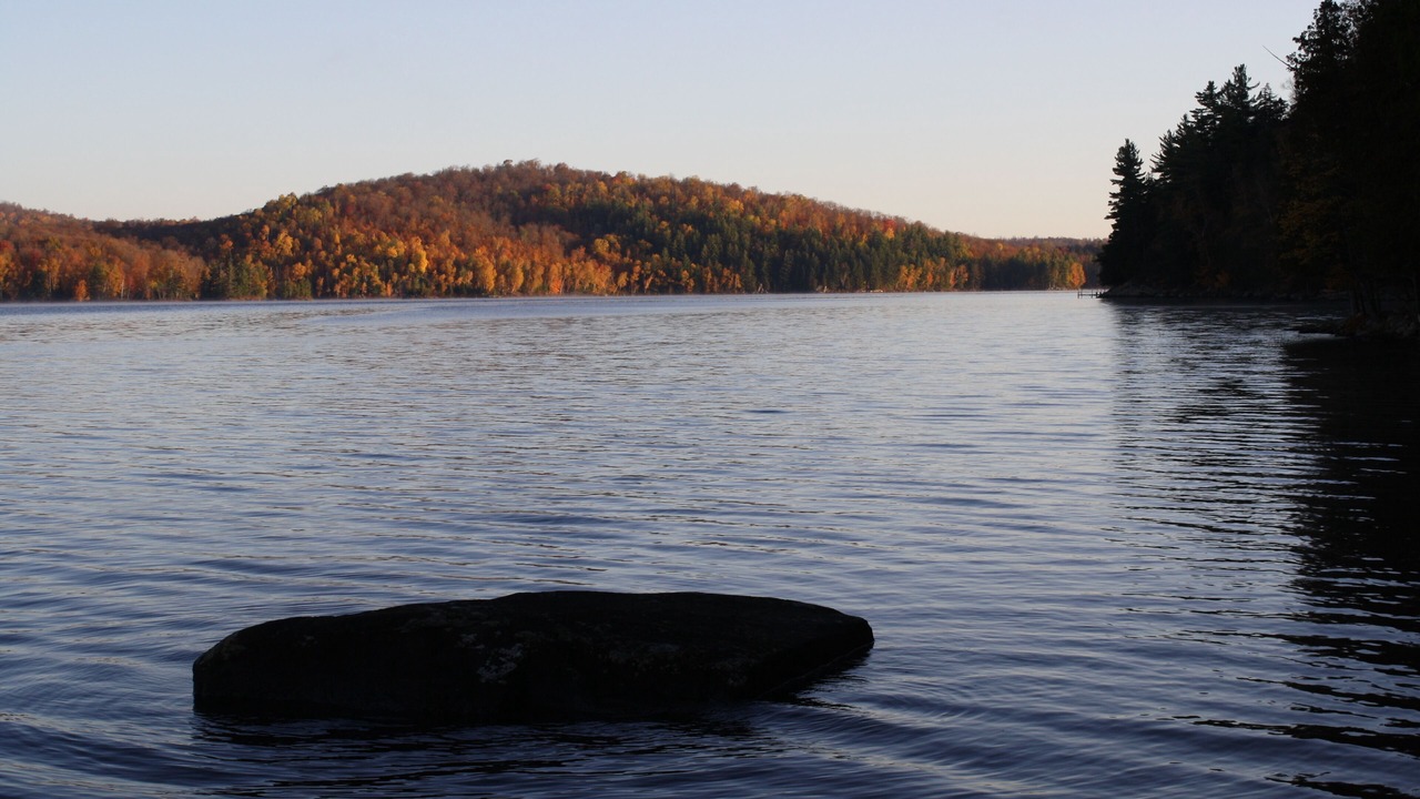 Photo of Others in Town of Piercefield