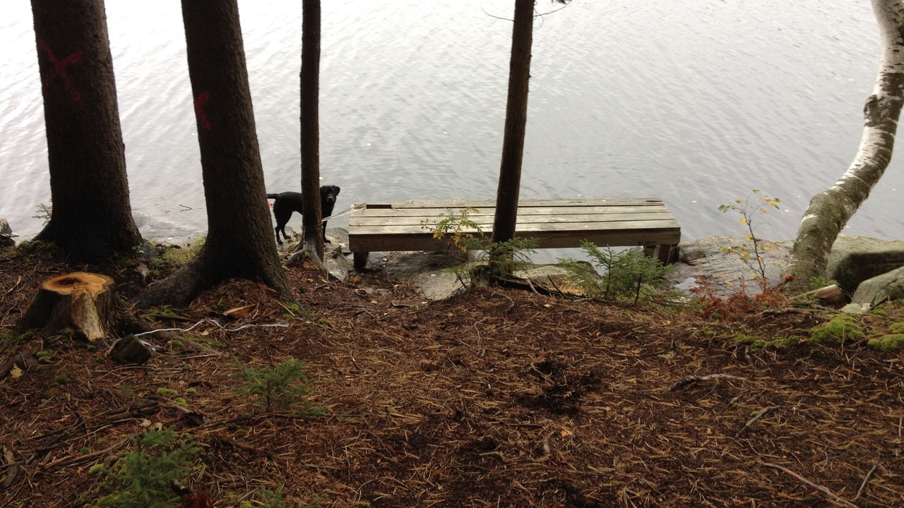 Photo of Outdoor in Town of Piercefield