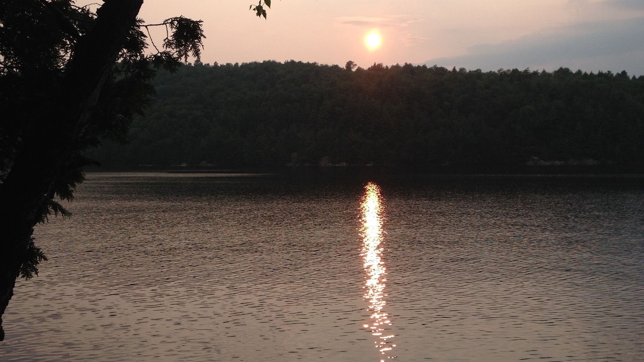 Photo of Outdoor in Town of Piercefield