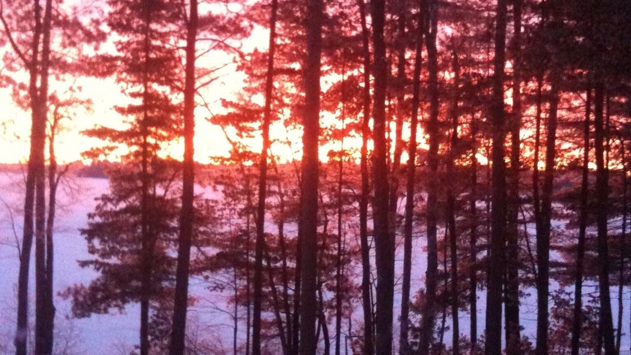 Photo of Outdoor in Eagle River