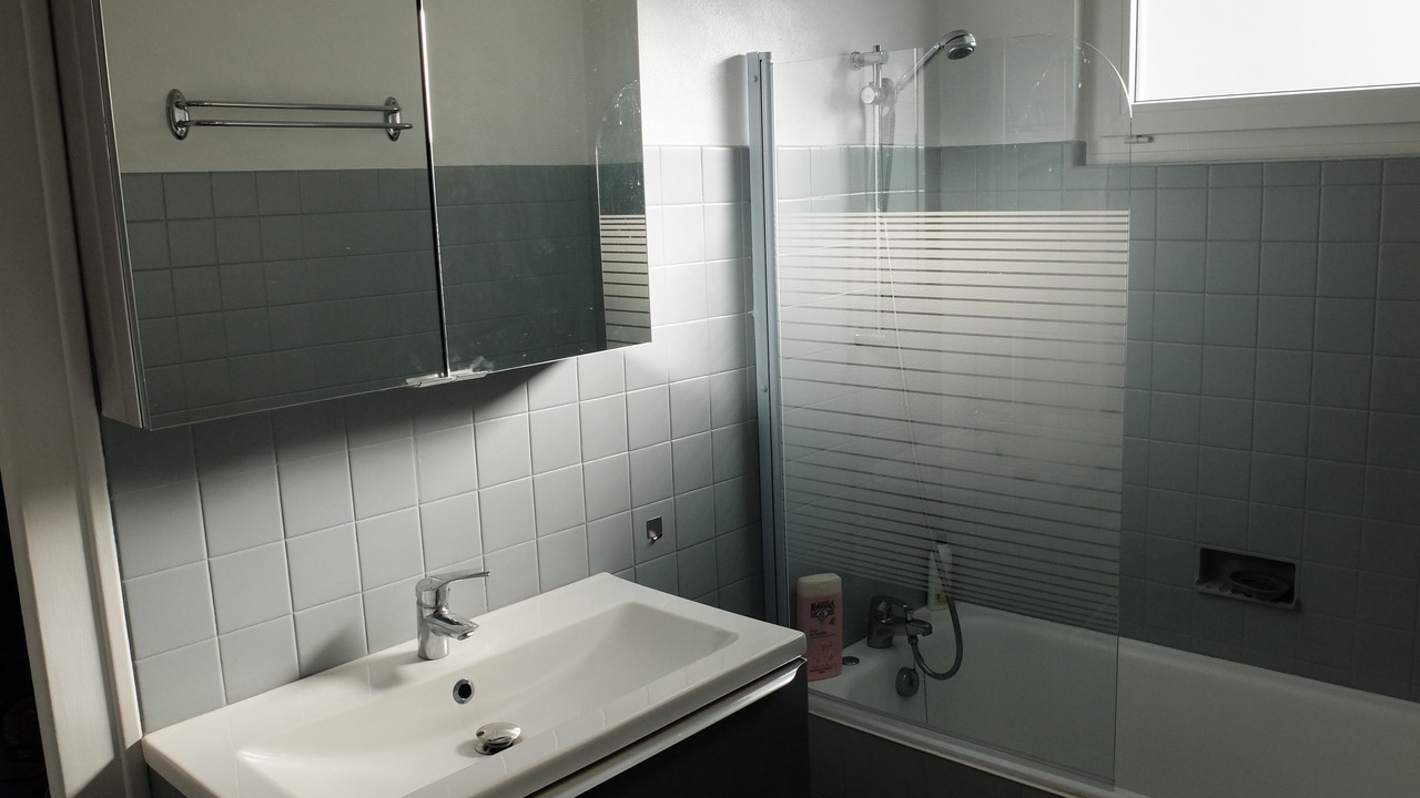 Photo of Bathroom in Penvins