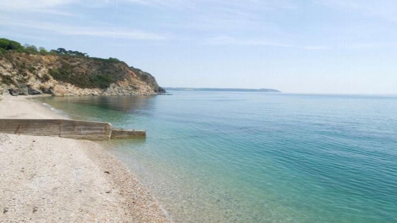 Photo of Others in Charlestown