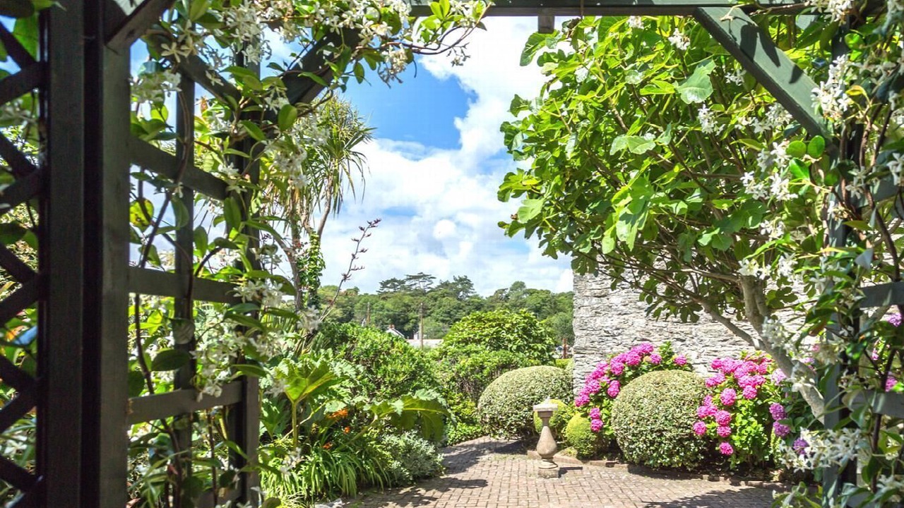 Photo of Others in Charlestown