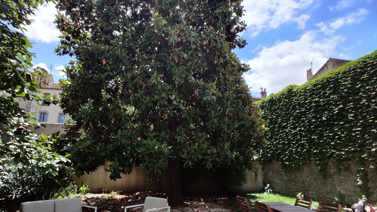 Photo of Outdoor in Carcassonne