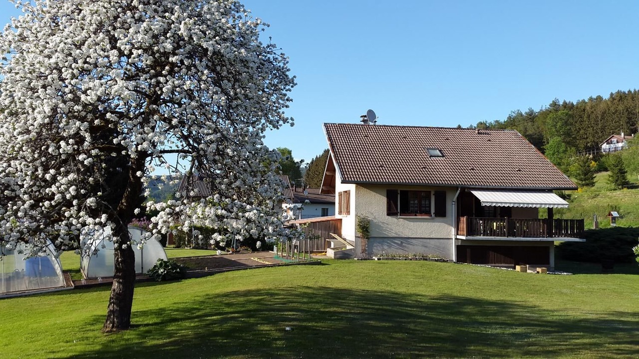 Photo of Outdoor in Granges-Aumontzey