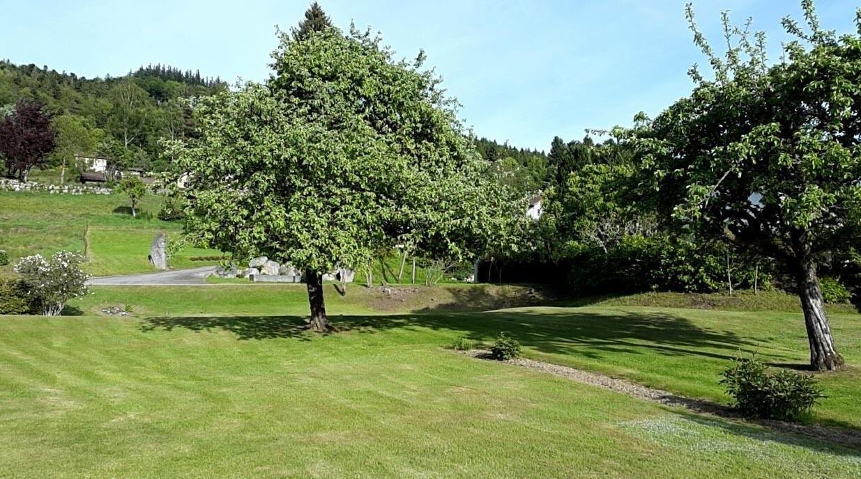 Photo of Outdoor in Granges-Aumontzey