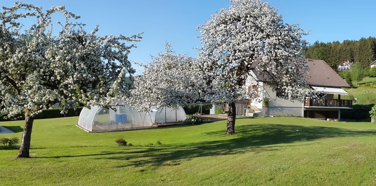 Photo of Outdoor in Granges-Aumontzey