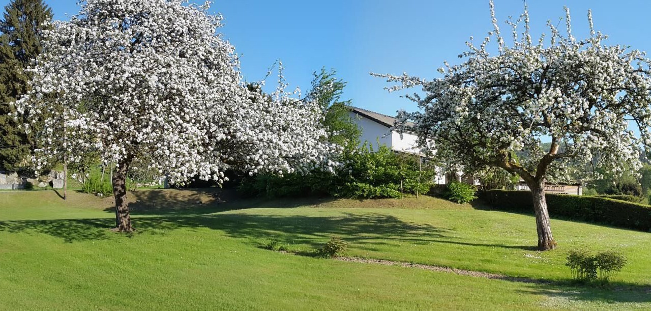 Photo of Outdoor in Granges-Aumontzey