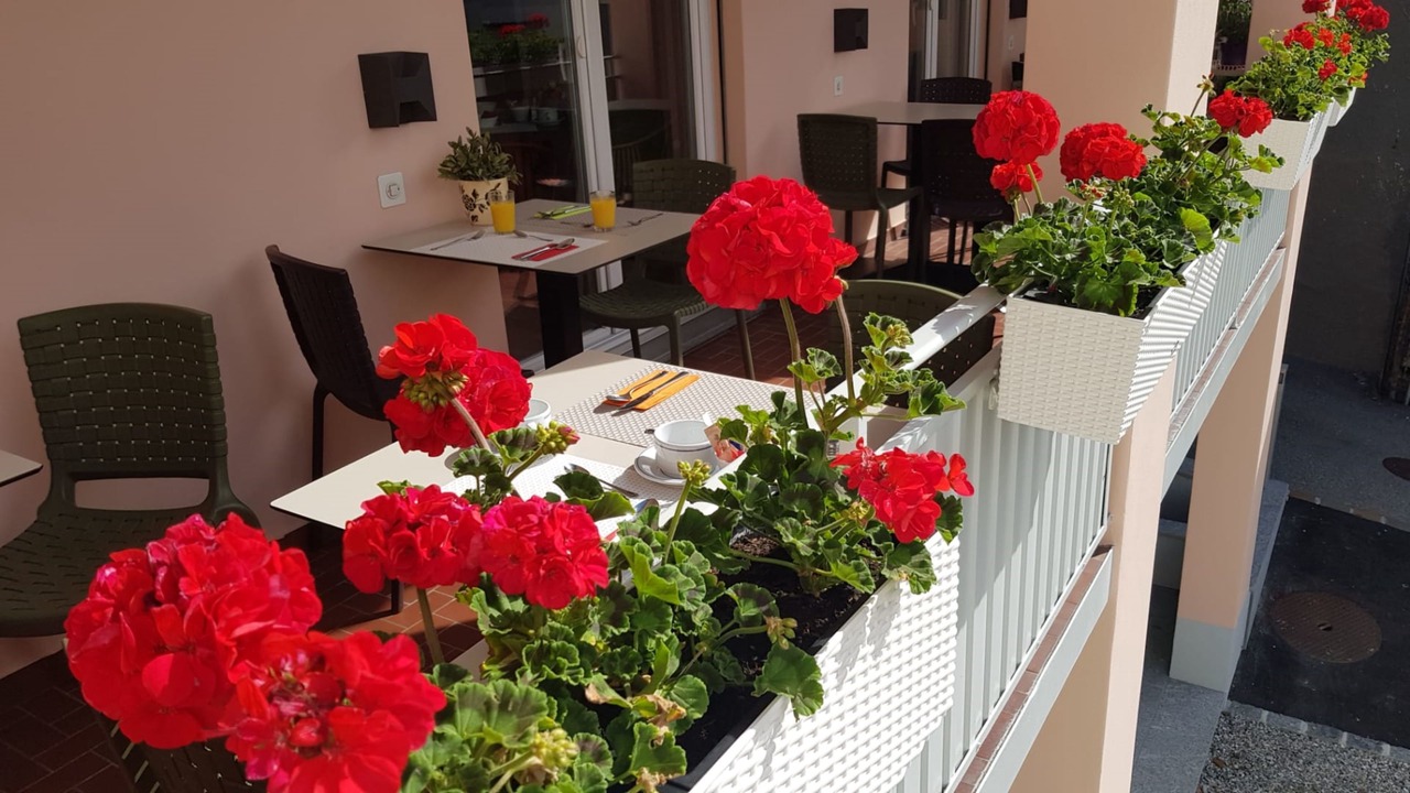 Photo of Patio Balcony in Muralto