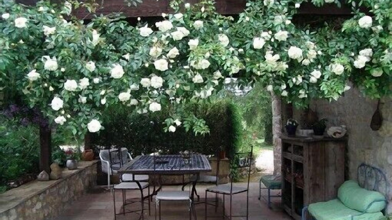 Photo of Outdoor in Cestayrols