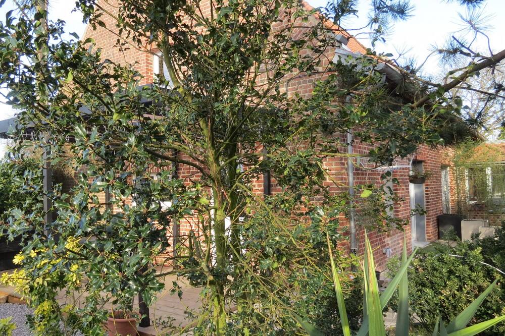 Photo of Outdoor in Nieppe