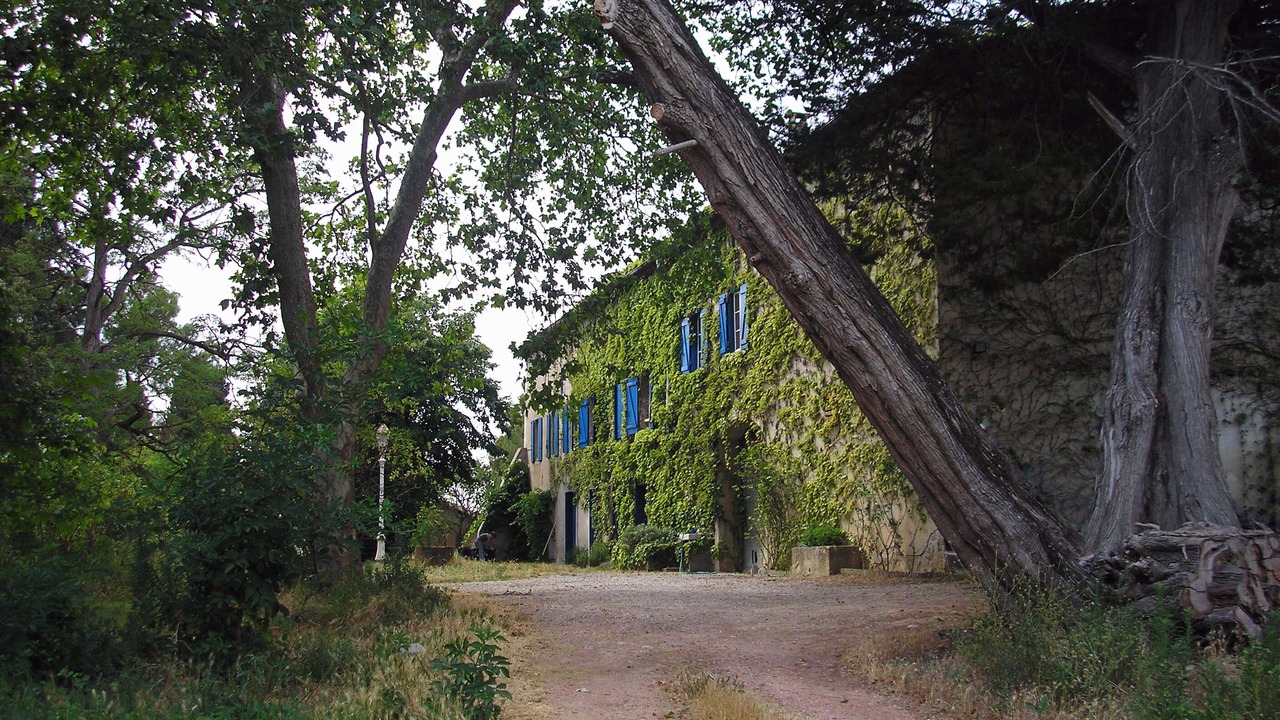 Photo of Outdoor in Limoux