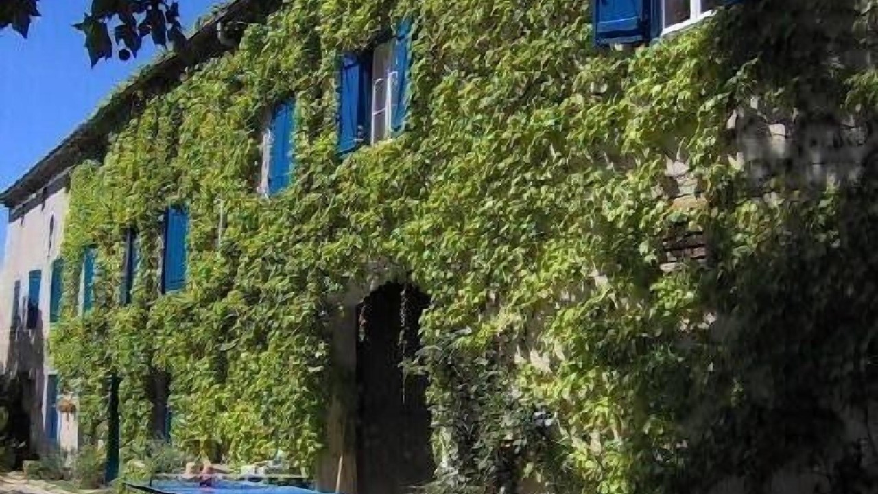 Photo of Outdoor in Limoux