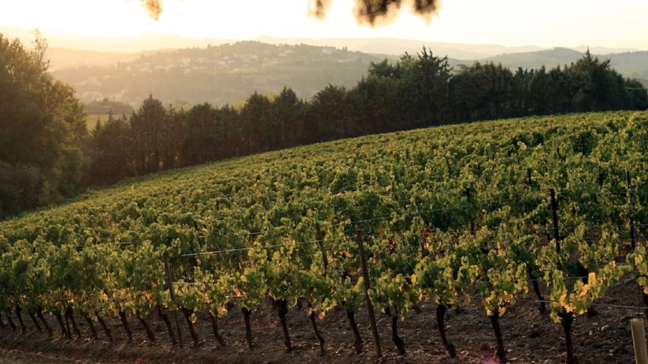Photo of Outdoor in Limoux