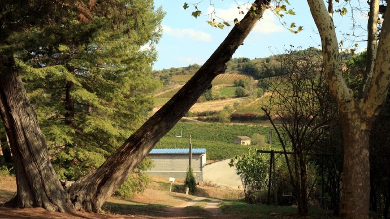 Photo of Outdoor in Limoux