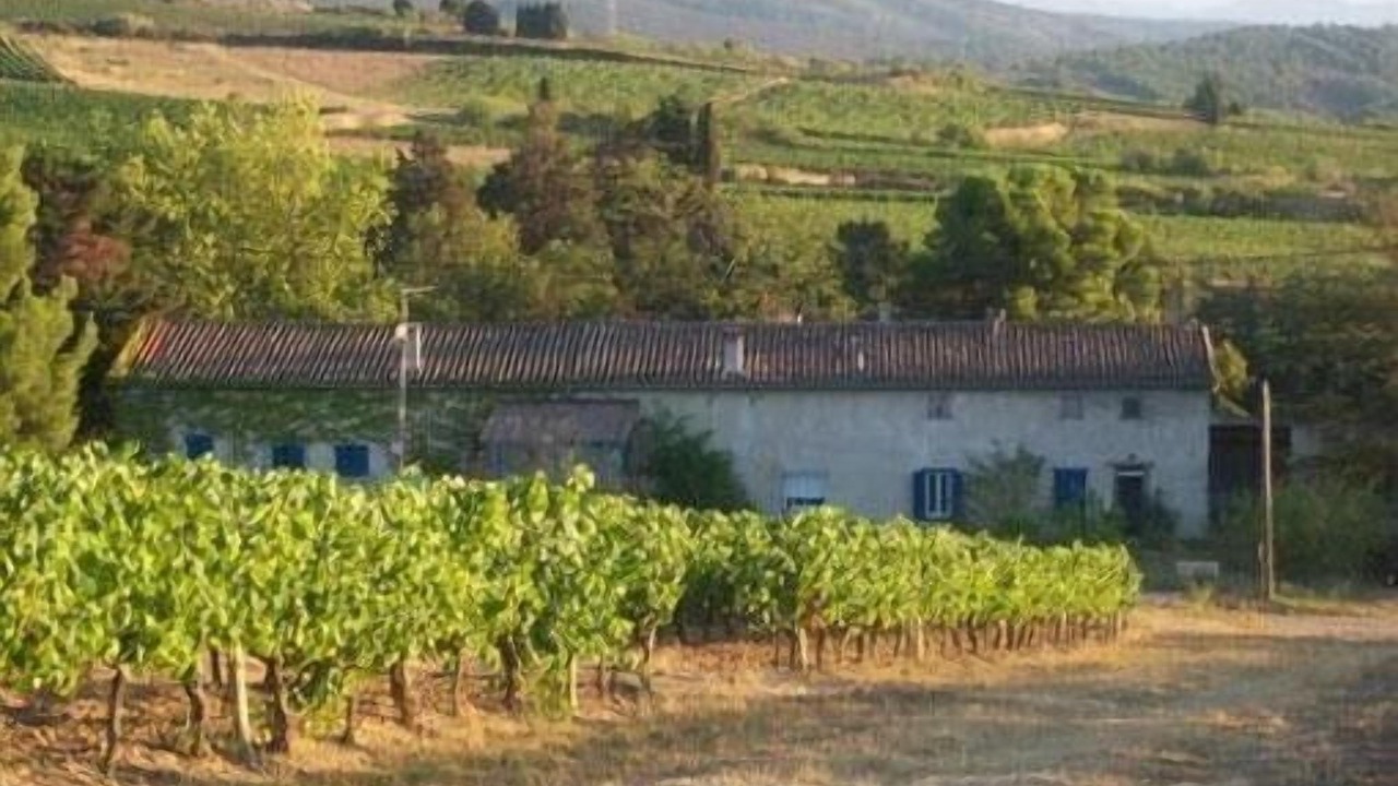 Photo of Outdoor in Limoux