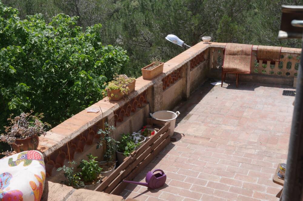 Photo of Patio Balcony in Sant Climent Sescebes
