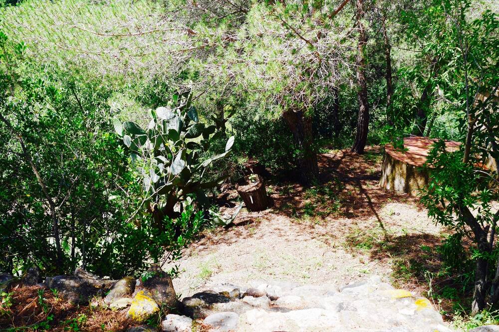 Photo of Outdoor in Sant Climent Sescebes