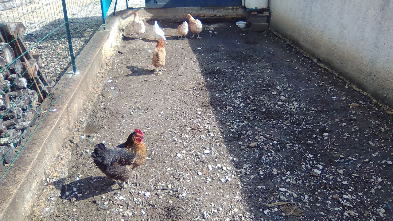 Photo of Outdoor in Saint-Andre-d'Olerargues