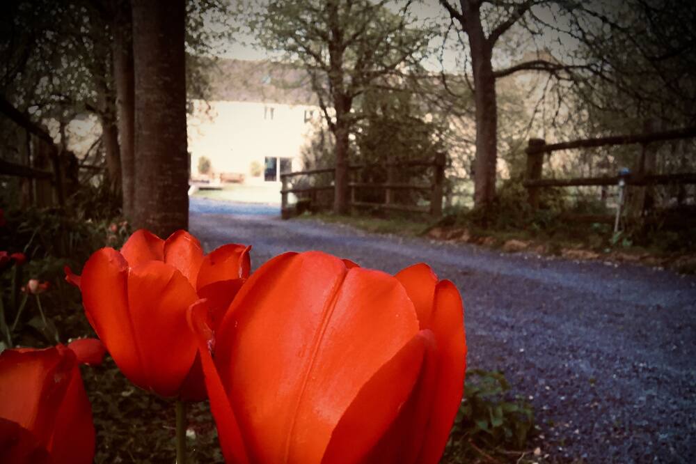 Photo of Others in Periers-sur-le-Dan