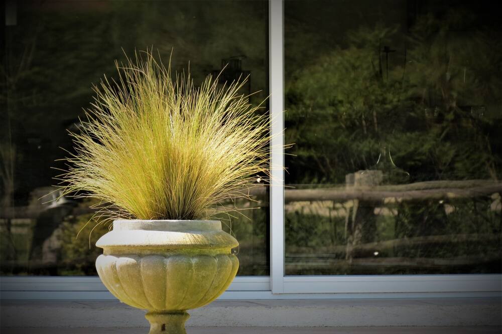 Photo of Others in Periers-sur-le-Dan