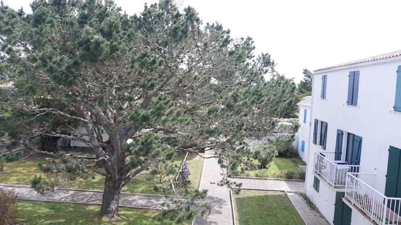 Photo of Outdoor in La Gueriniere