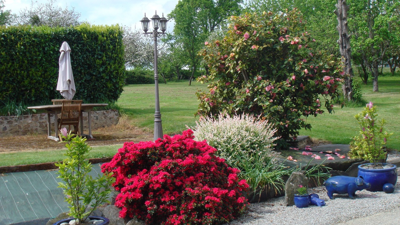 Photo of Outdoor in Armaille