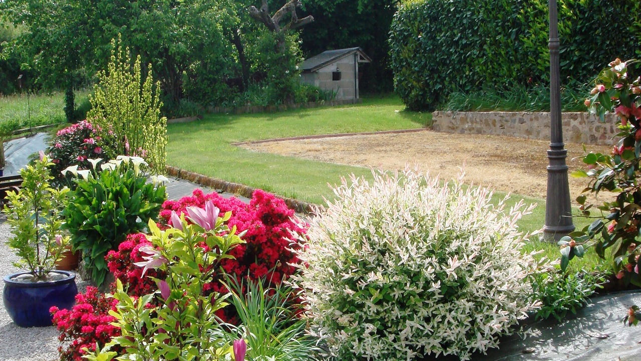 Photo of Outdoor in Armaille