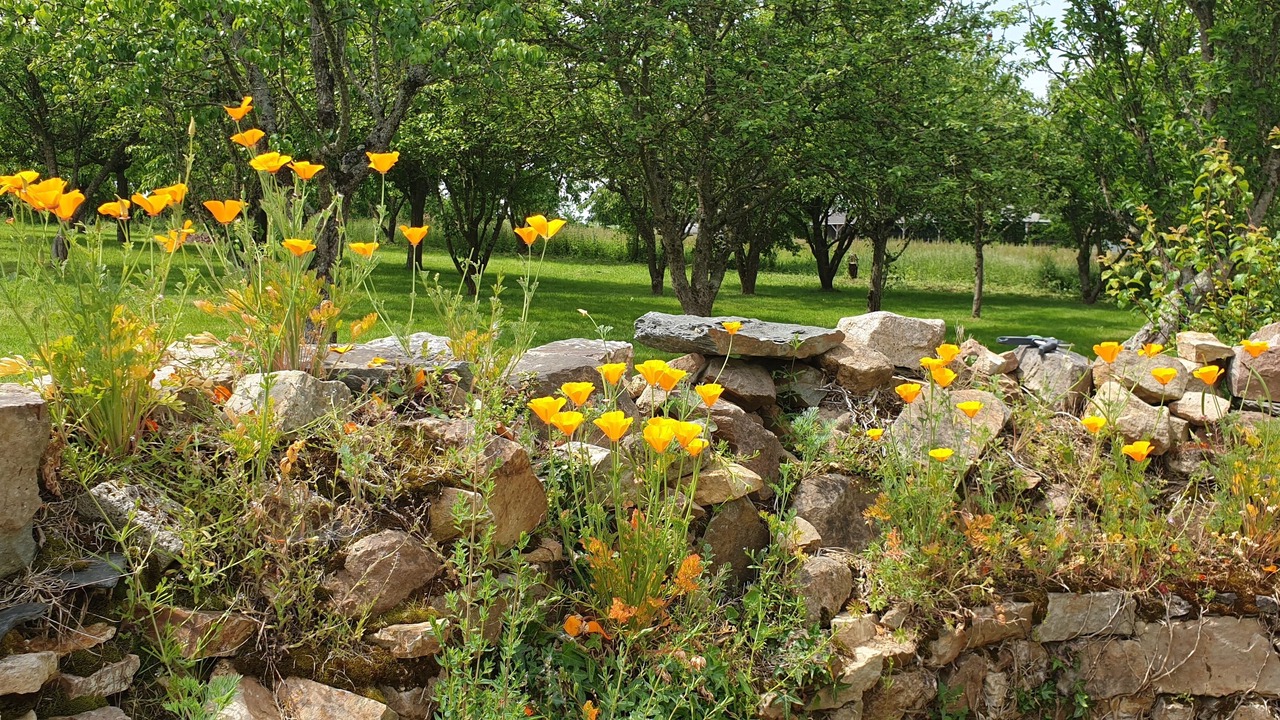 Photo of Outdoor in Armaille