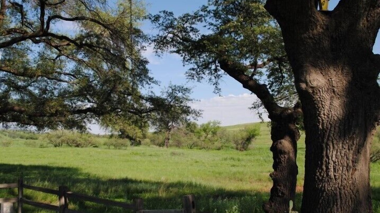 Photo of Others in Sonoita