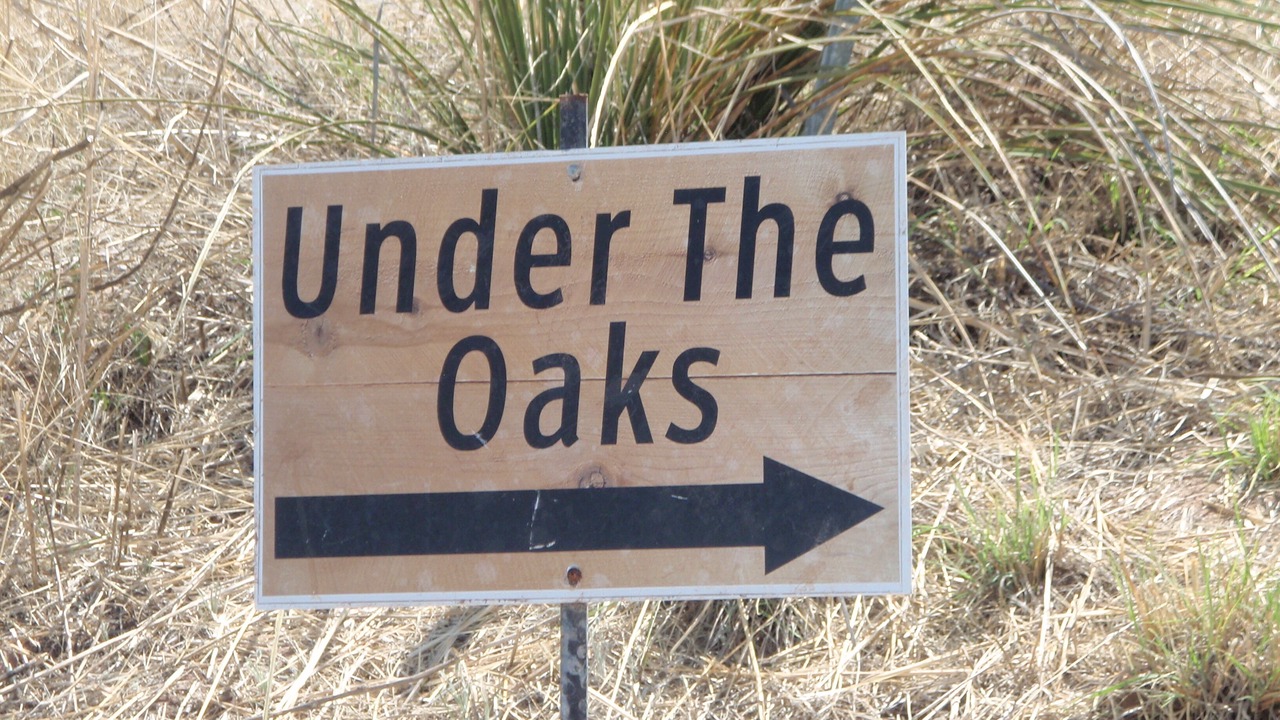 Photo of Outdoor in Sonoita