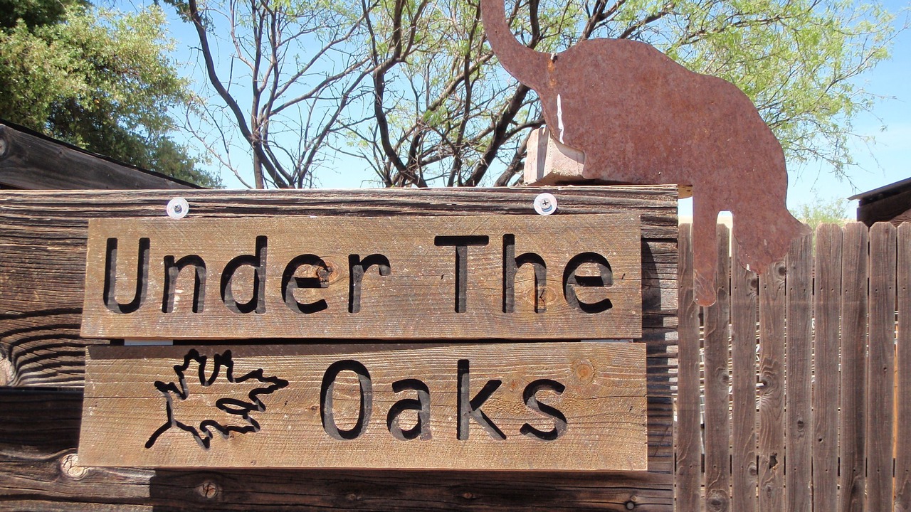 Photo of Outdoor in Sonoita