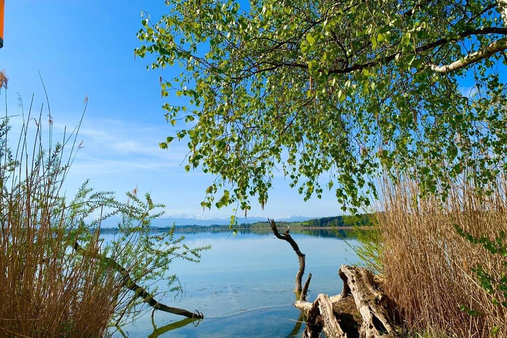 Photo of Outdoor in Pfaffikon District
