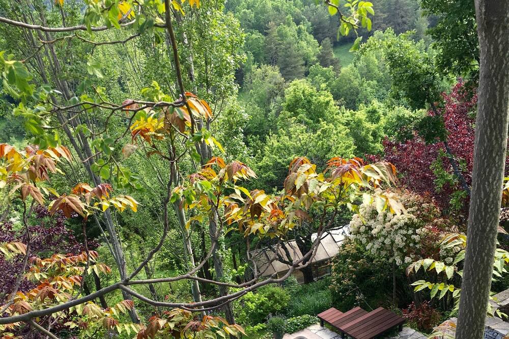 Photo of Outdoor in Coursegoules