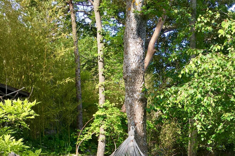 Photo of Outdoor in Coursegoules